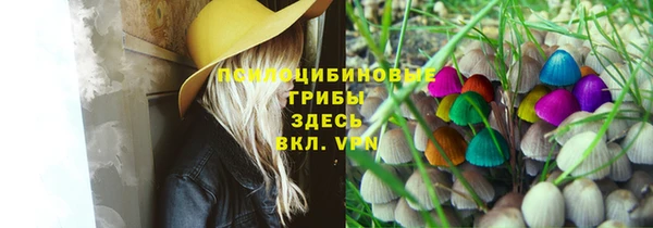 гидропоника Арсеньев