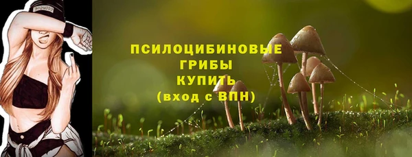 гашик Армянск