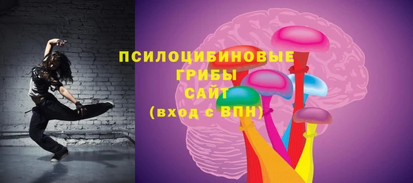 гидропоника Арсеньев
