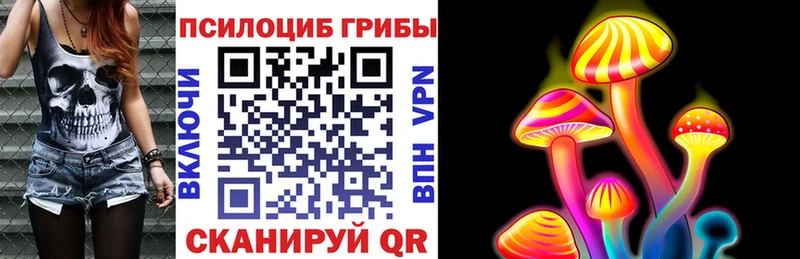 Псилоцибиновые грибы Magic Shrooms Курчалой