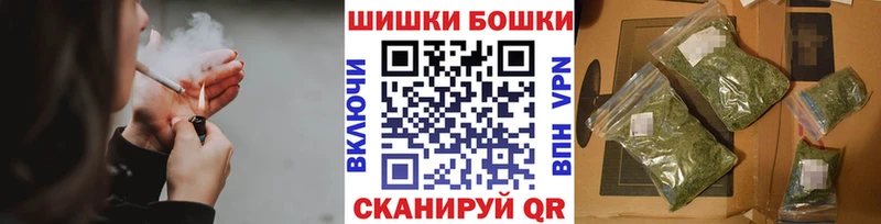 Бошки марихуана сатива  Курчалой 